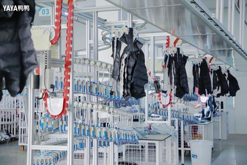 新消费观察 多方入局抢占羽绒服市场 需求多元品牌分层