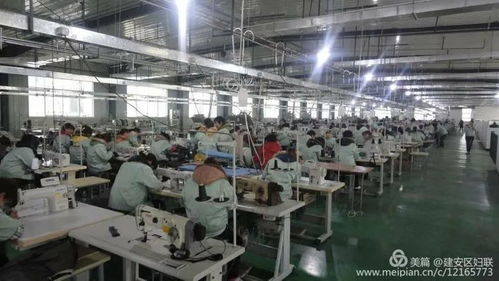 许昌一服装厂招聘1000余人,缝纫工 文员 设计师等都需要