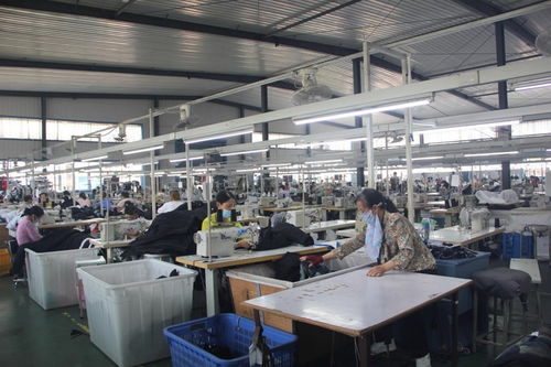 潜江积玉口镇优化营商环境 助推就业富民——以服饰产业升级为例