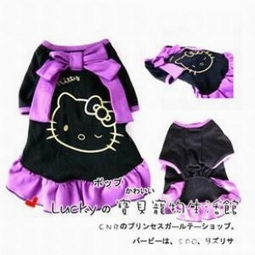 引领宠物时尚，打造温馨生活 Dog Society 的宠物服饰与用品王国